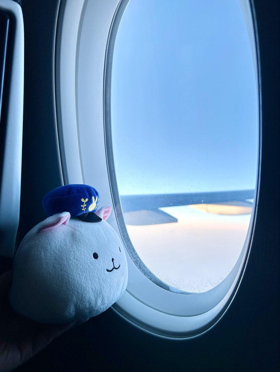 アニメ『ご注文はうさぎですか？』劇場版制作中♪ (@usagi_anime