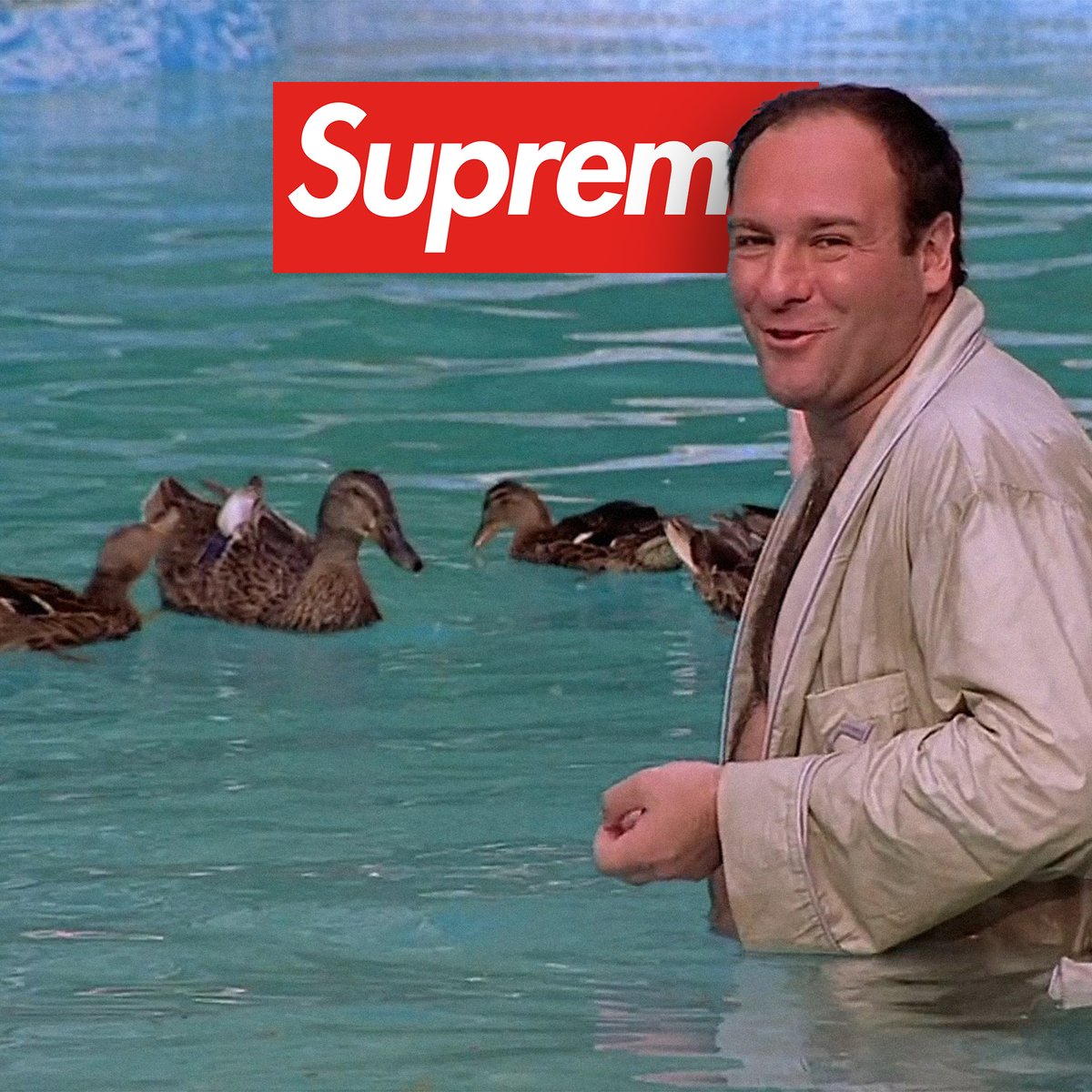 Supreme Drops tweet media
