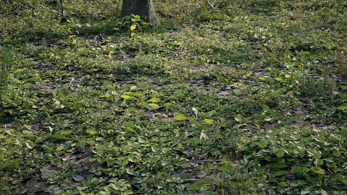 Maxtree tweet media