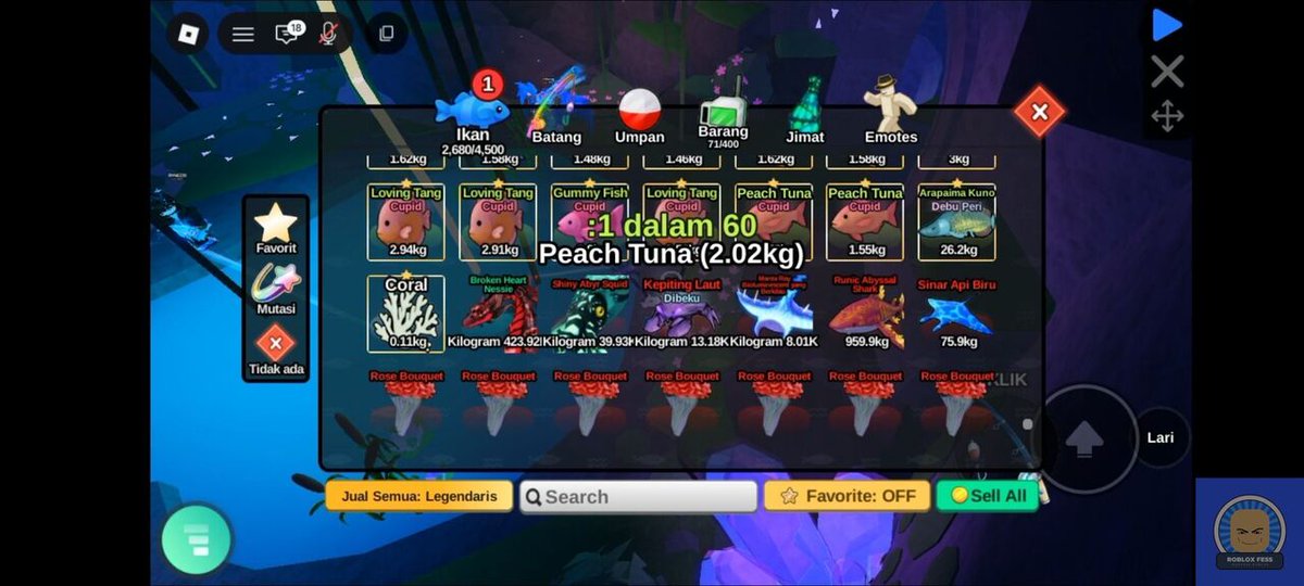 Roblox Fess tweet media