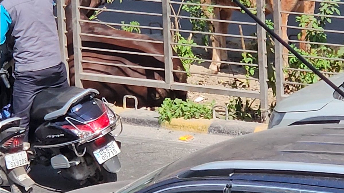 AkhilChhillar's tweet photo. @dtptraffic This person on scooty is obstructing traffic and an ambulance is struck in the jam
Regn. No.: DL8SDQ5715
Location: Sai Baba Chowk, Bhagwan Mahavir Marg Sector 7 Rohini Delhi
Time: 12:18pm 26 Feb 2026 https://t.co/a1R1rvNFIo