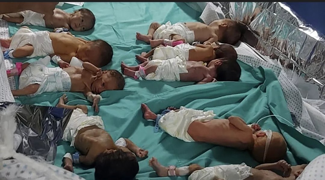 Gazze’ de yaşananları unuttun mu?
Soykırım bitmedi devam ediyor.

Susma , 
Sumak ihanetliktir !