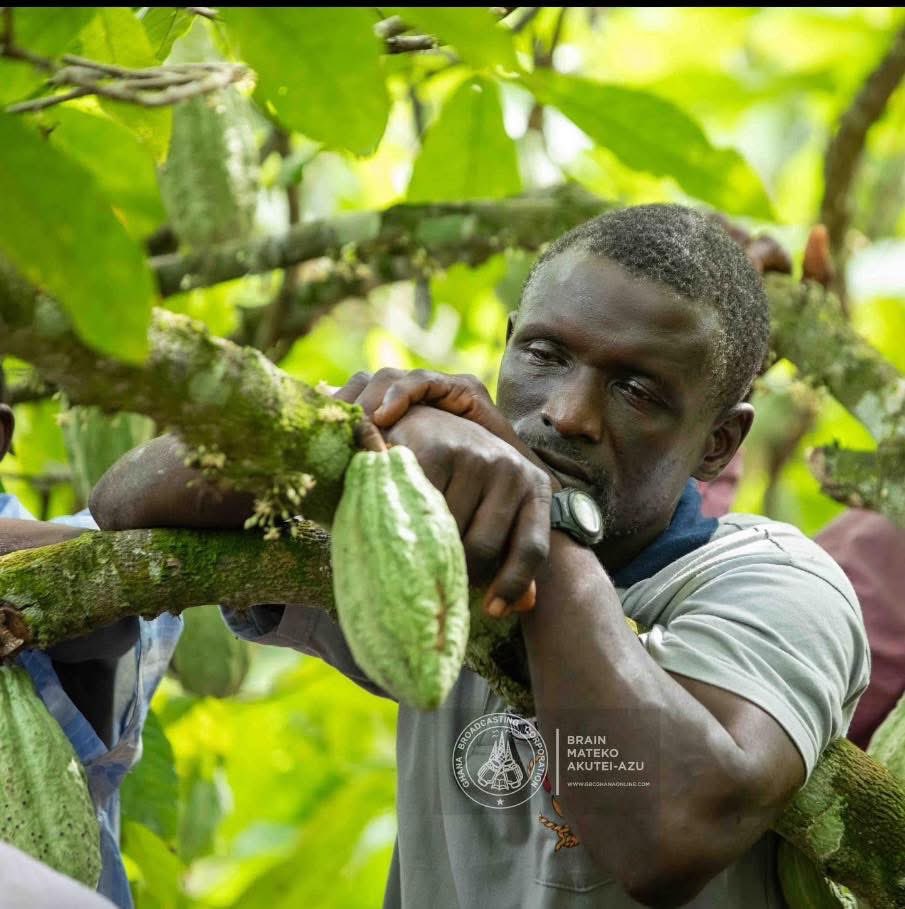 Dennis Edward Aboagye tweet media