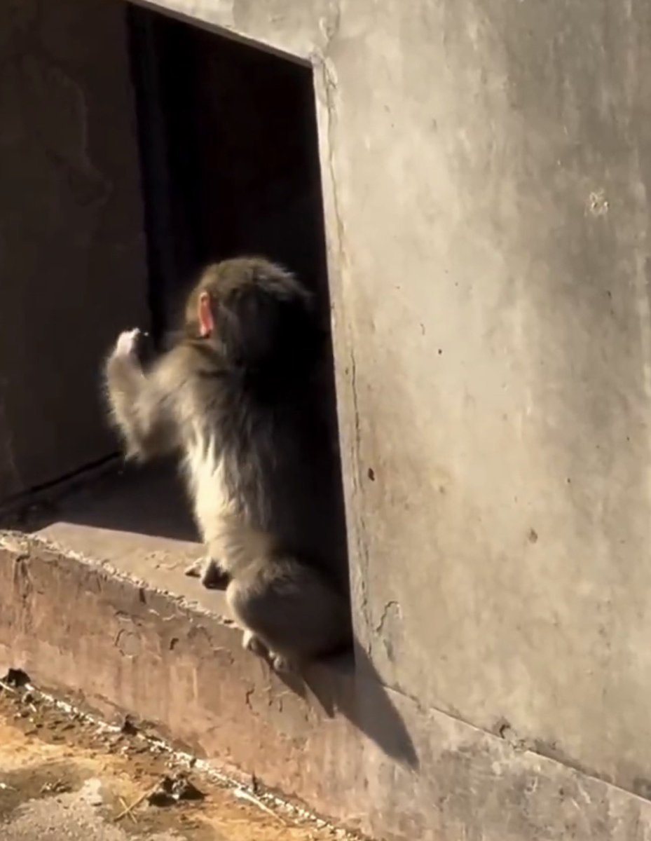 punch punched 💥🥊