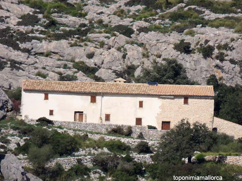 Miquel Àngel tweet media