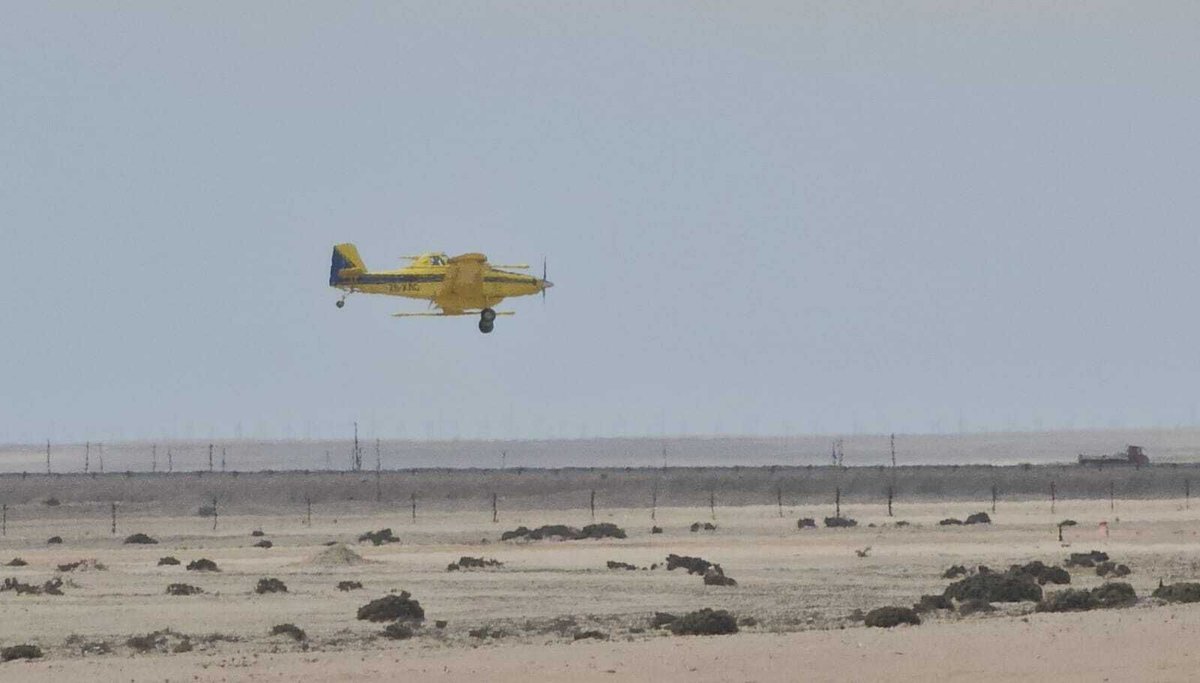 Arkle Resources PLC tweet media