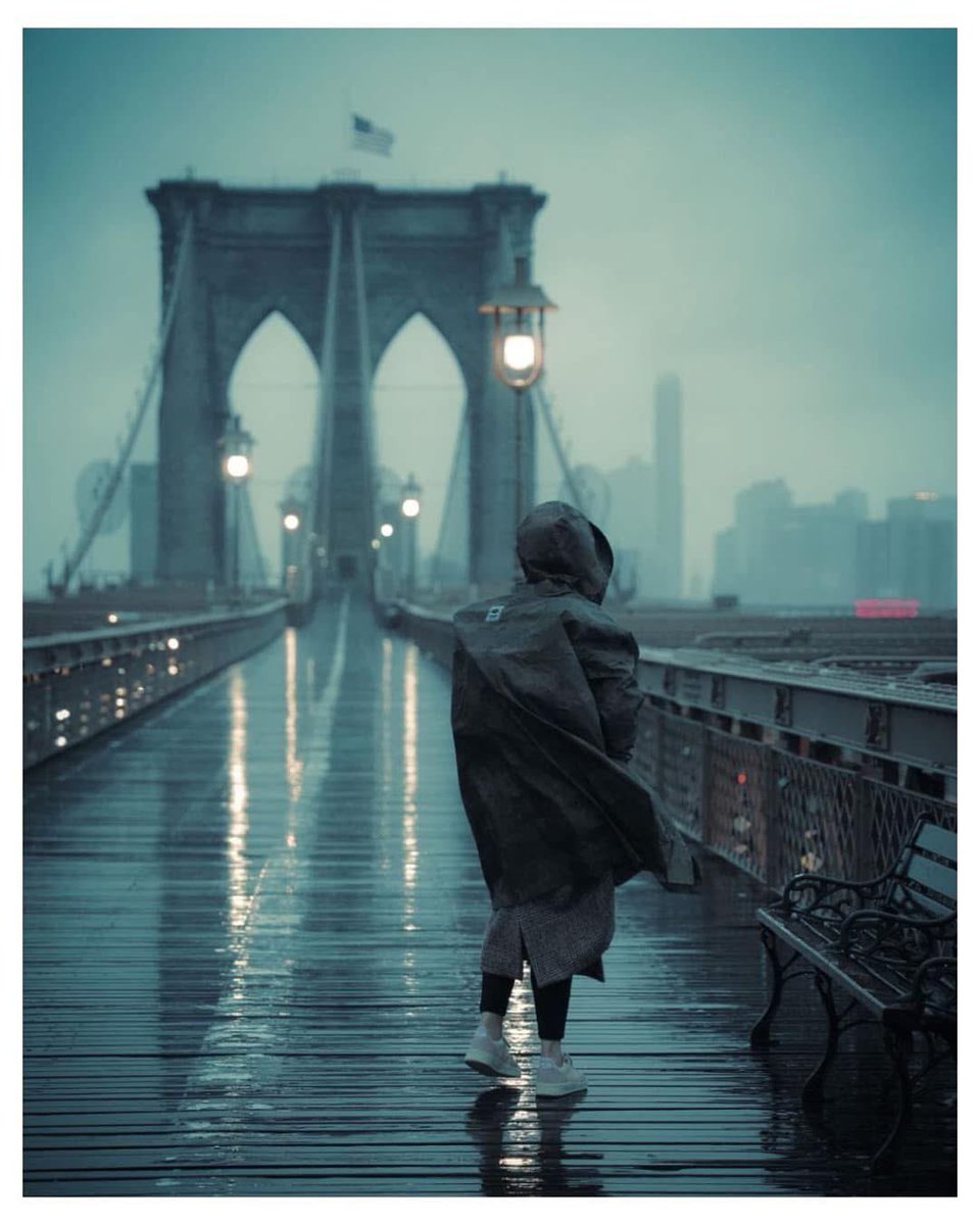 Pera Photo Gallery® tweet media