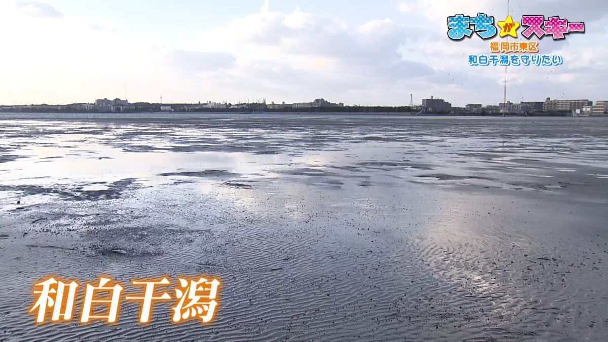 博多湾の北東部にあり 約80haもの広さがある「和白干潟」🦆 自然豊かな