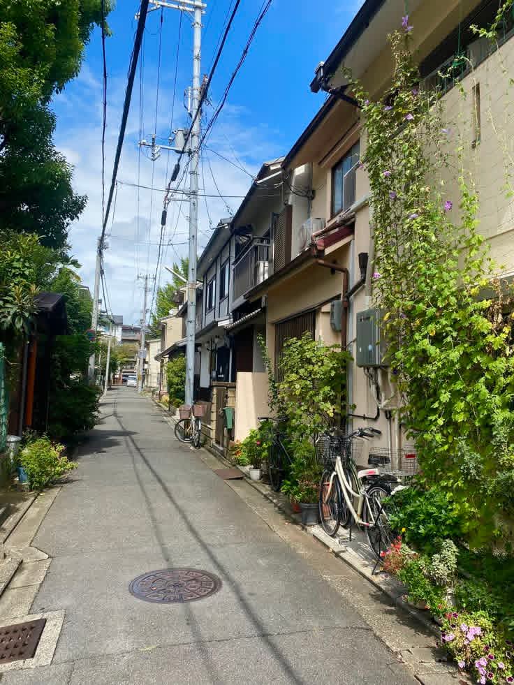 naturebeauty760's tweet photo. Japan 🇯🇵 https://t.co/kCOLi64NtX