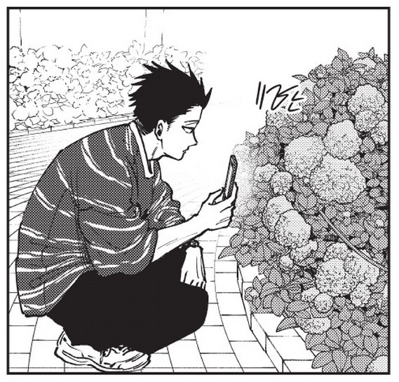 凛太郎 tweet media