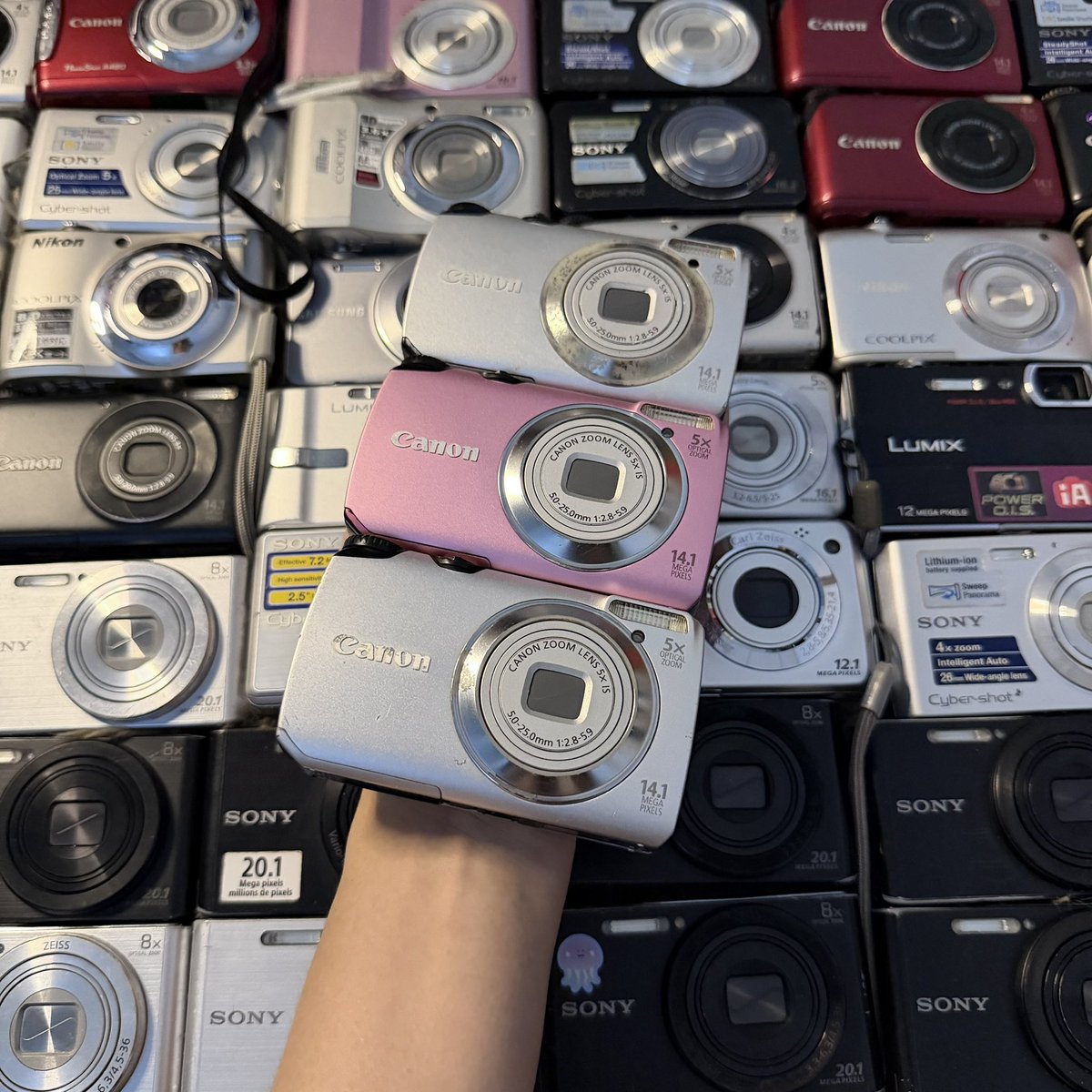sangsu digicam 📷 tweet media