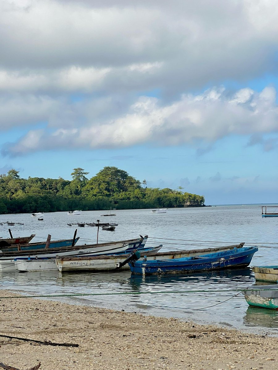 Global Impact Transformation tweet media