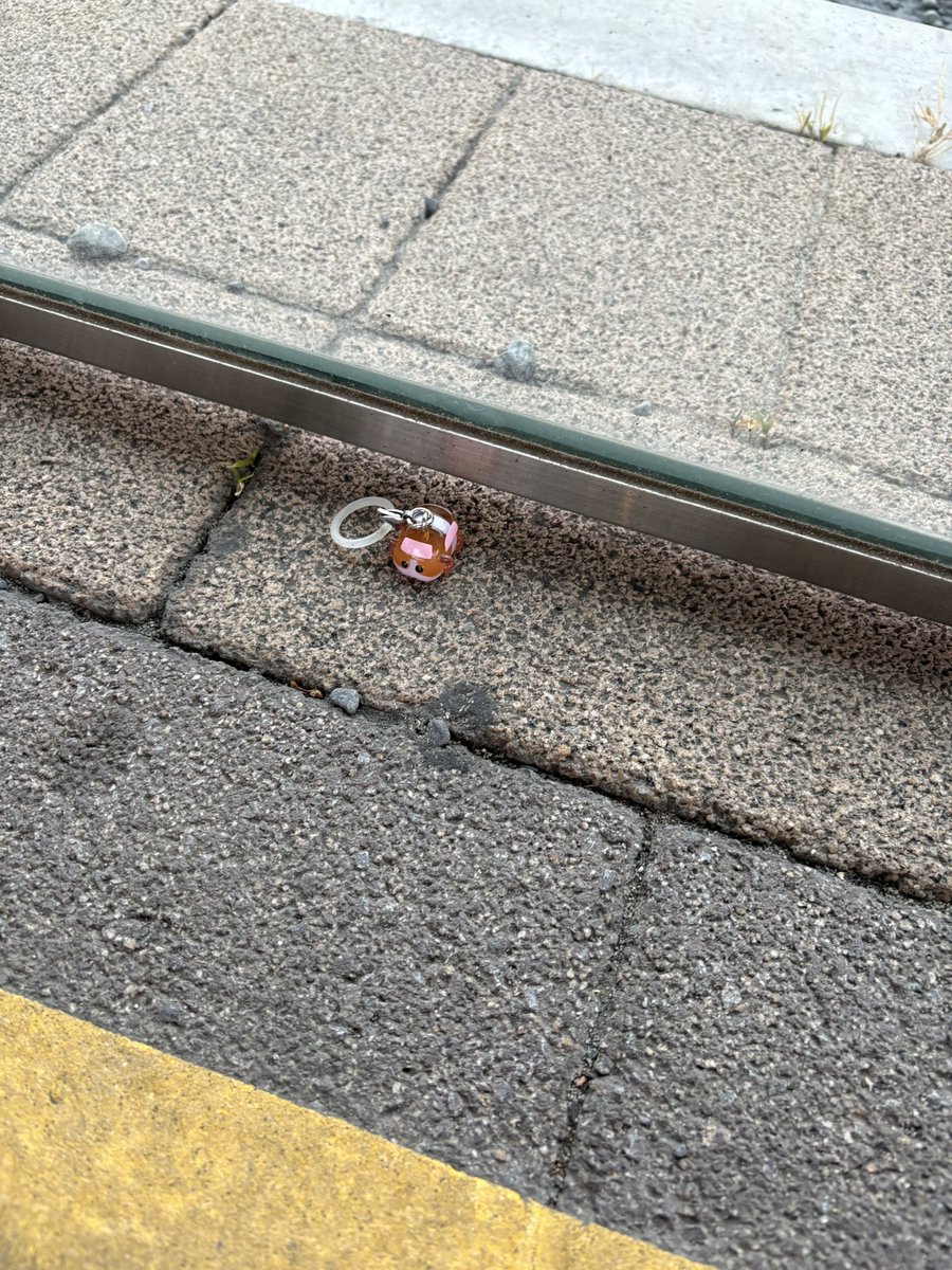 ぴぴ (@pipichaaaaan_) / Posts / X