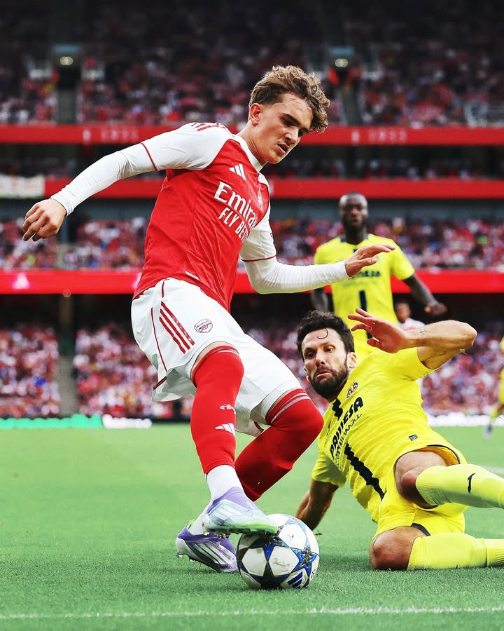 Backyard Arsenal ❤️ tweet media