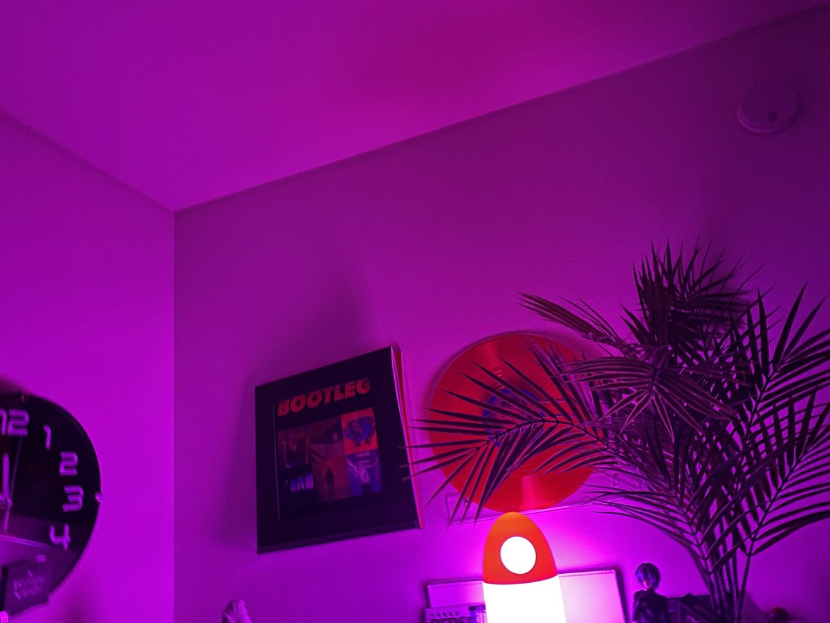 くそねこ tweet media