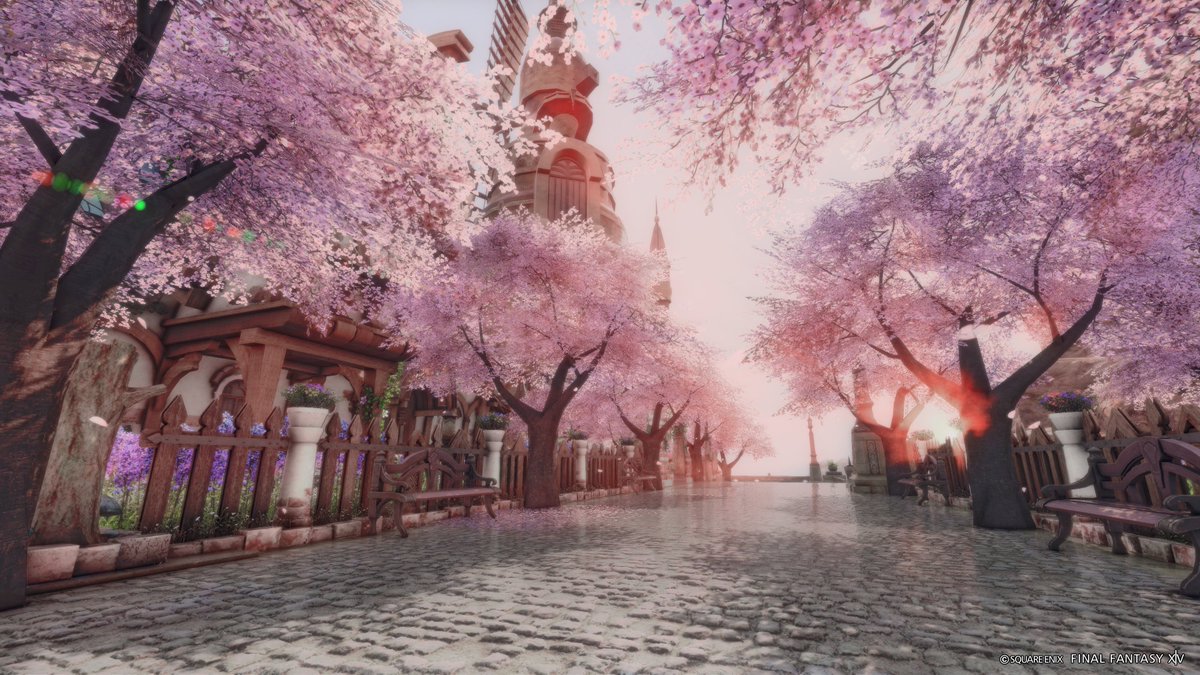 popo🌲ゼロムス並木道 tweet media