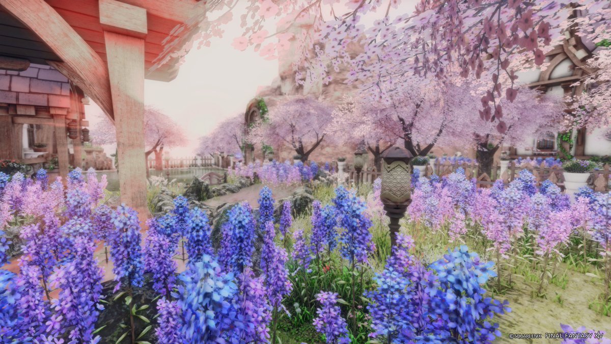 popo🌲ゼロムス並木道 tweet media