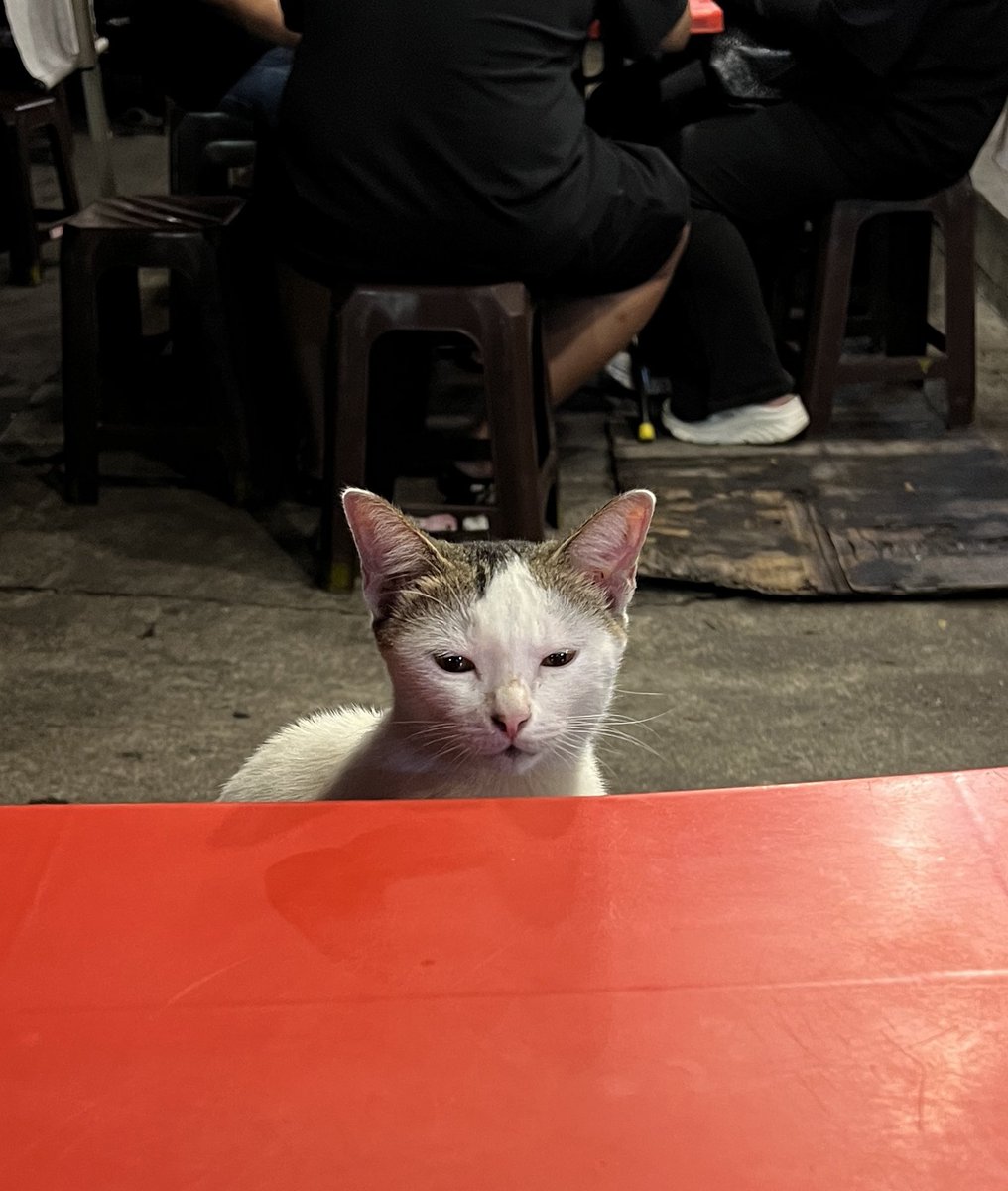 𝒏𝒂𝒕𝒂𝒔𝒉𝒂 𝒂𝒏𝒖𝒂𝒓 tweet media