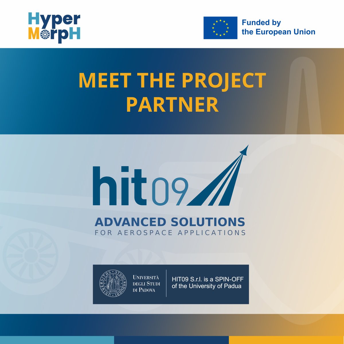 HyperMorpH project tweet media