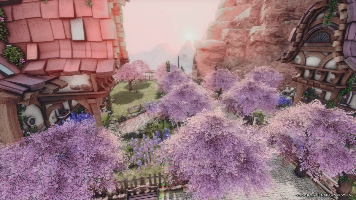 popo🌲ゼロムス並木道 tweet media