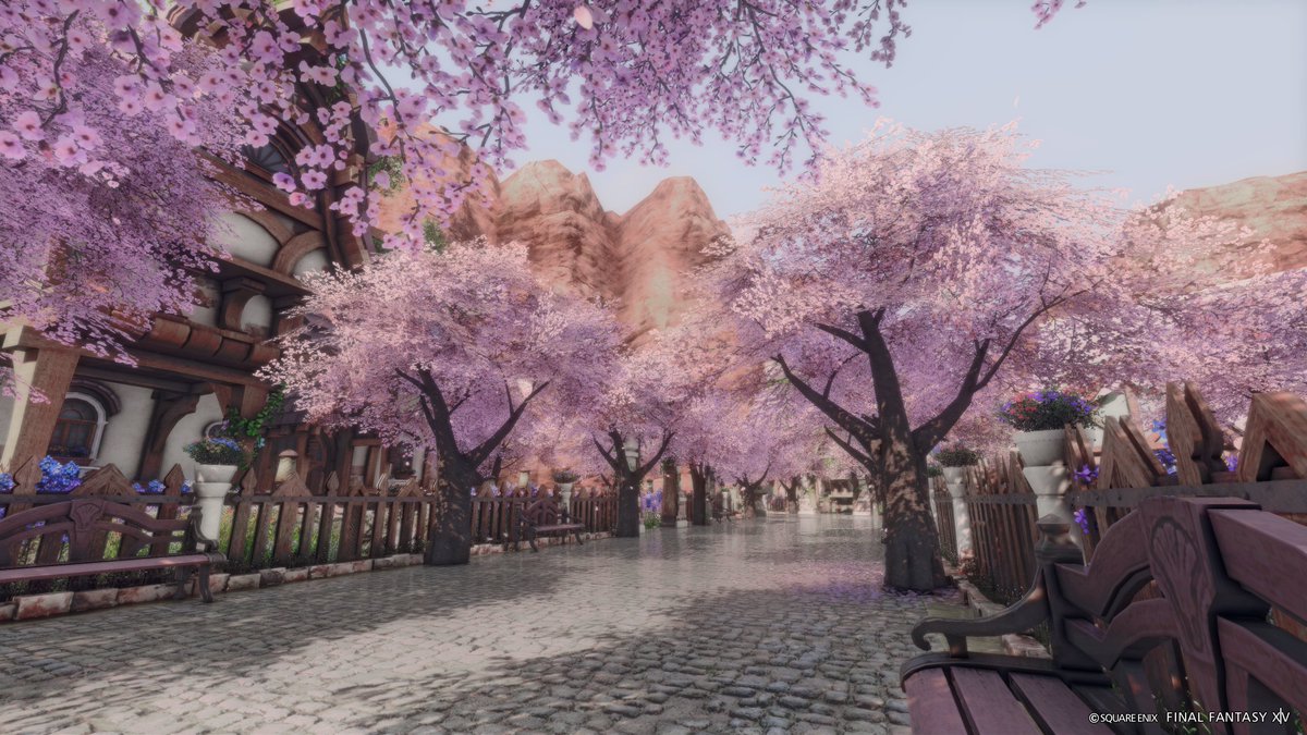 popo🌲ゼロムス並木道 tweet media