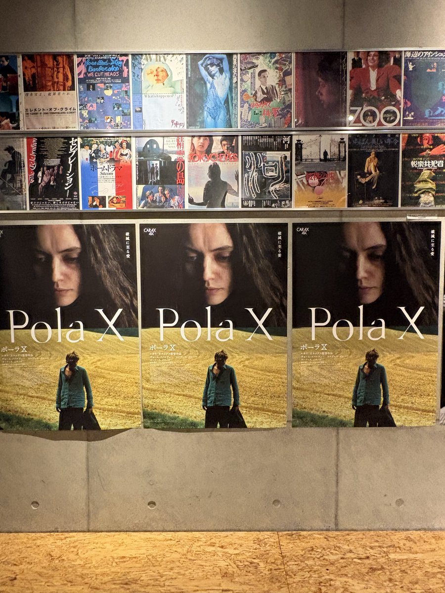 ポーラX 1999年🇫🇷 レオス・カラックス監督作品 美しい母や恋人との光