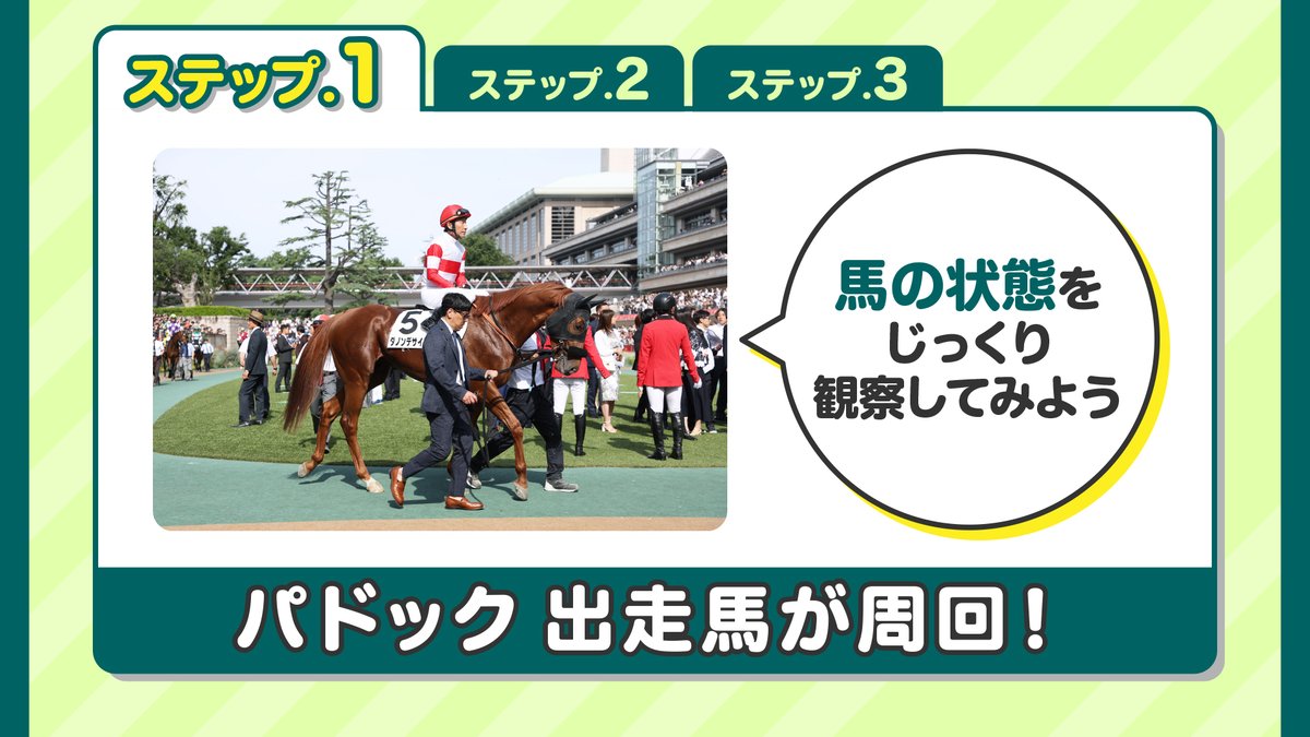 JRA公式 (@JRA_Special) / Posts / X