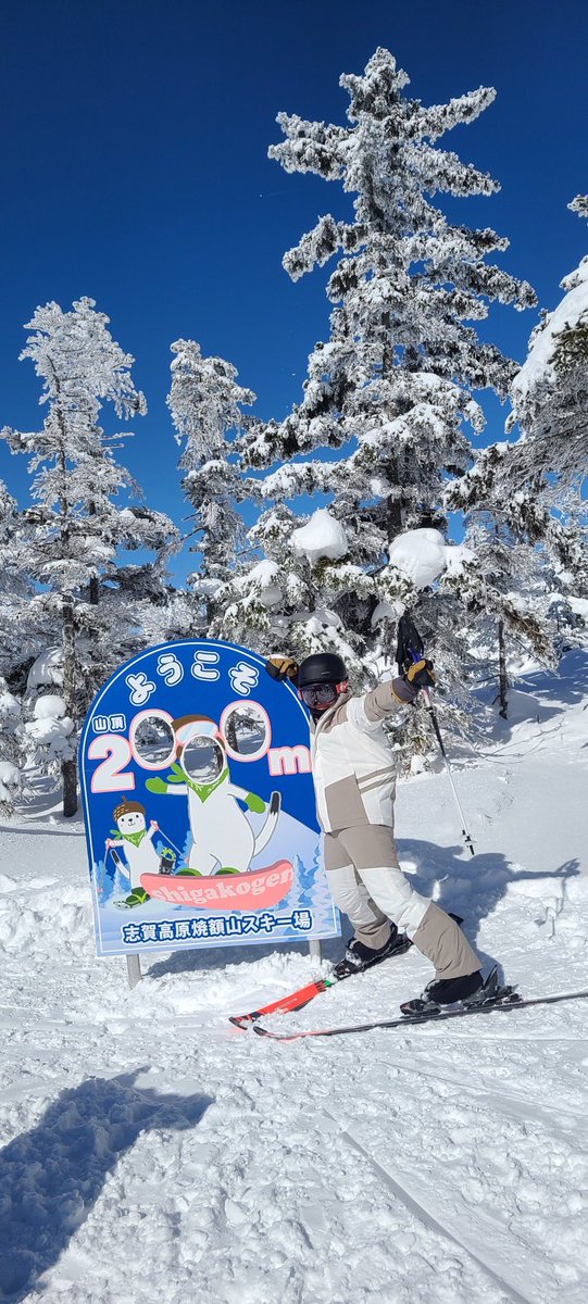 Yuki⛷ tweet media