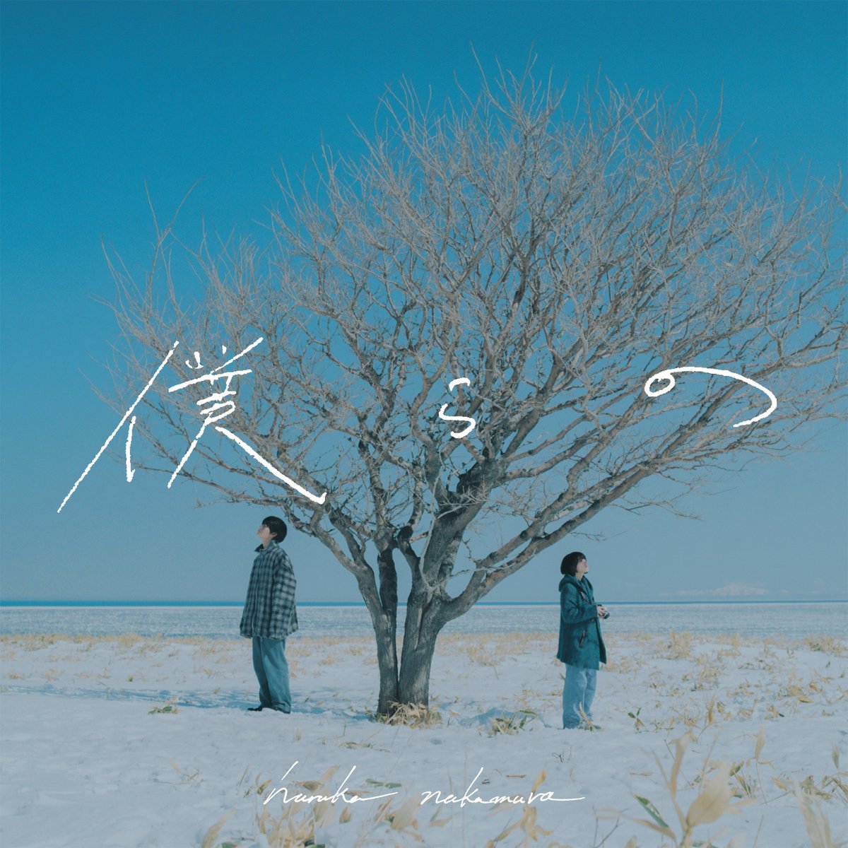 ⋱📸『青い鳥』テーマソング決定！/⋰ 🎵「僕らの」／ haruka