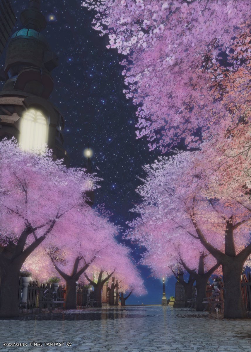 popo🌲ゼロムス並木道 tweet media