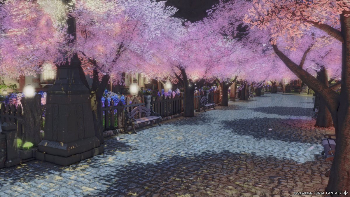 popo🌲ゼロムス並木道 tweet media