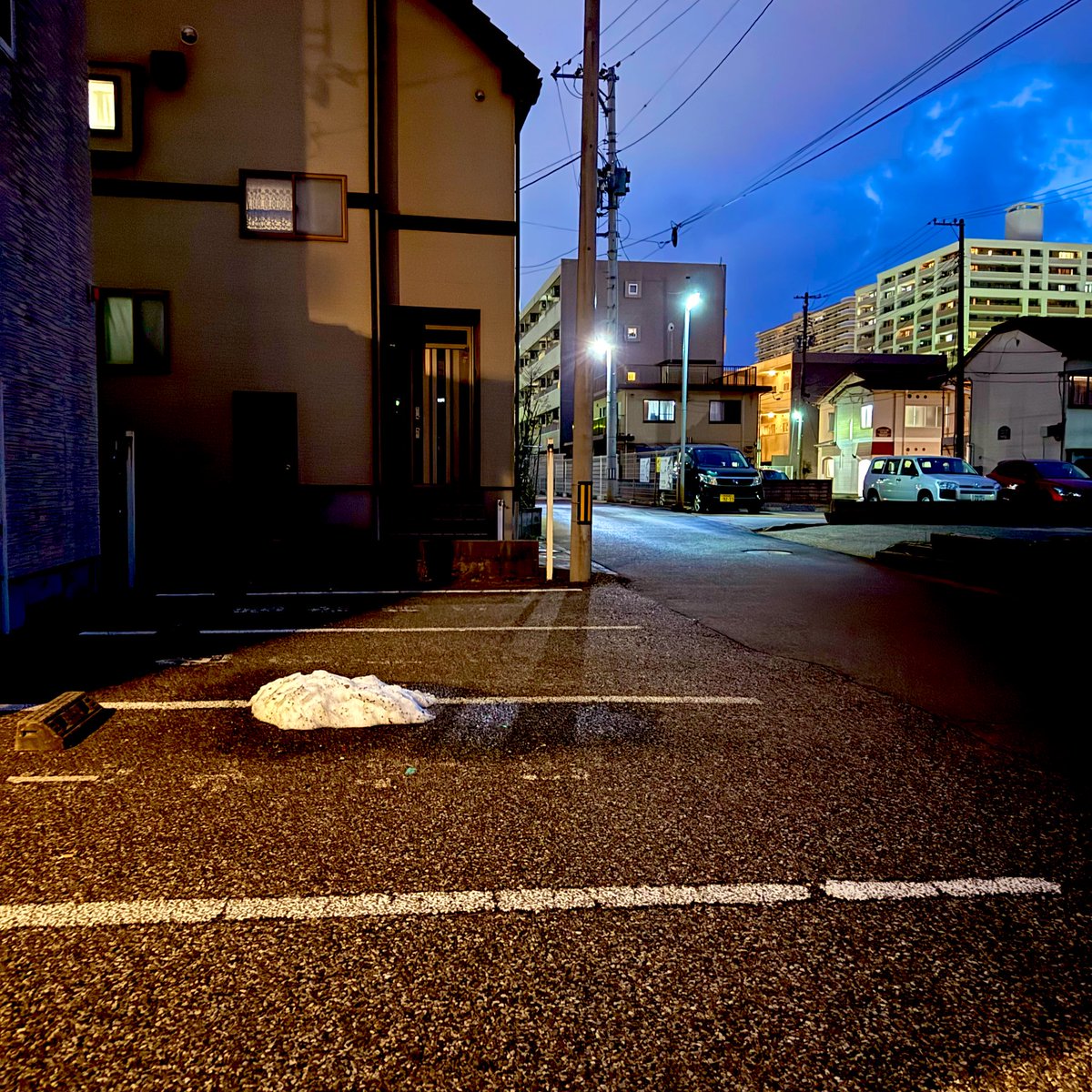 ソロ a.k.a. (R da) 稲荷爺 (@solo_nftist) / Posts / X