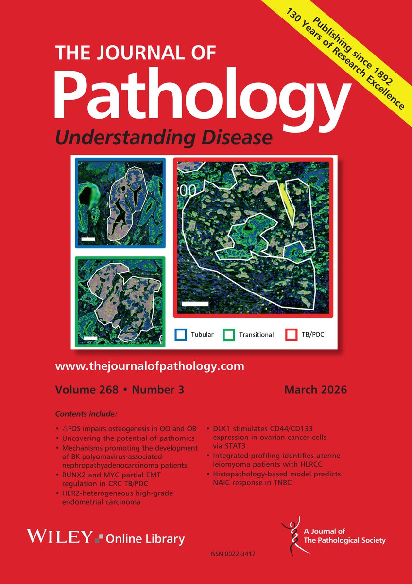 Pathological Society tweet media