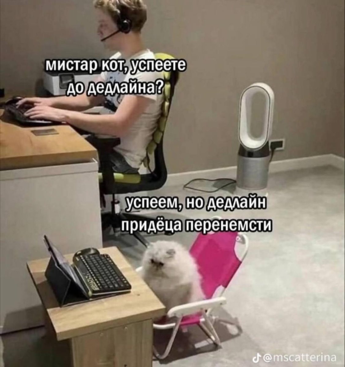 Здравствуйте, дорогие мои мышата tweet media