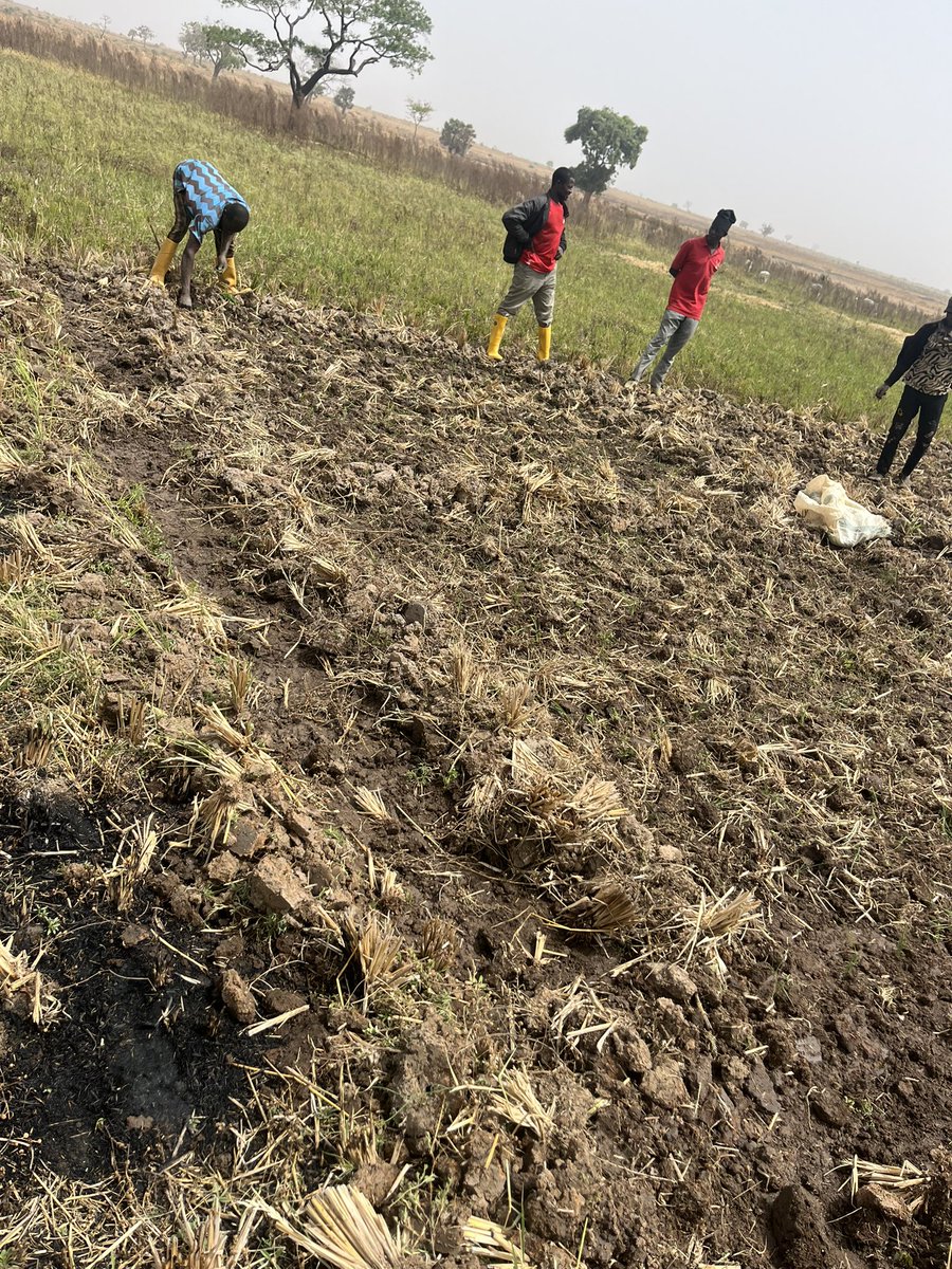 Starting Farmer tweet media