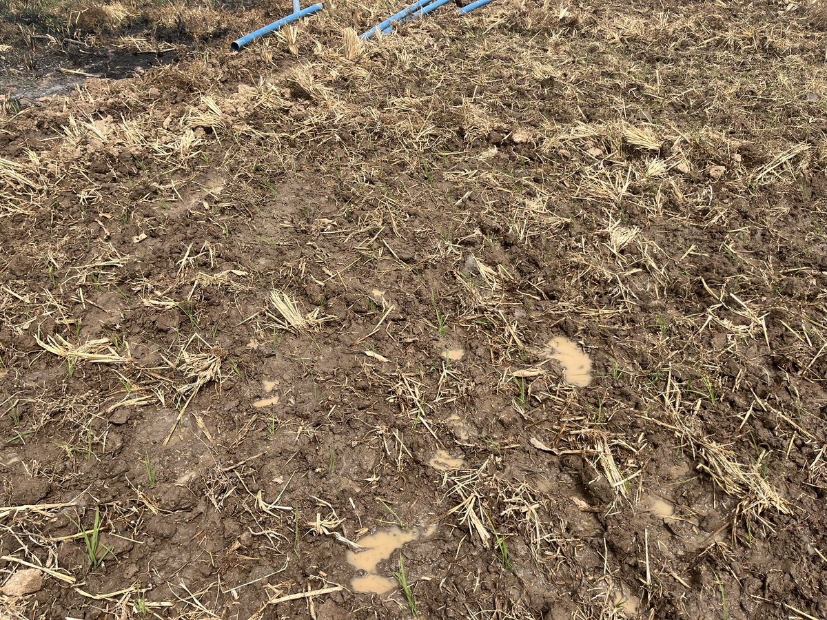 Starting Farmer tweet media