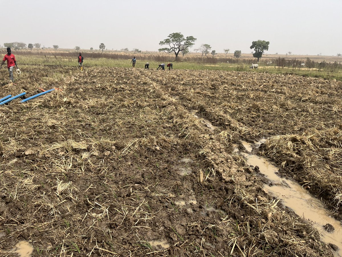 Starting Farmer tweet media