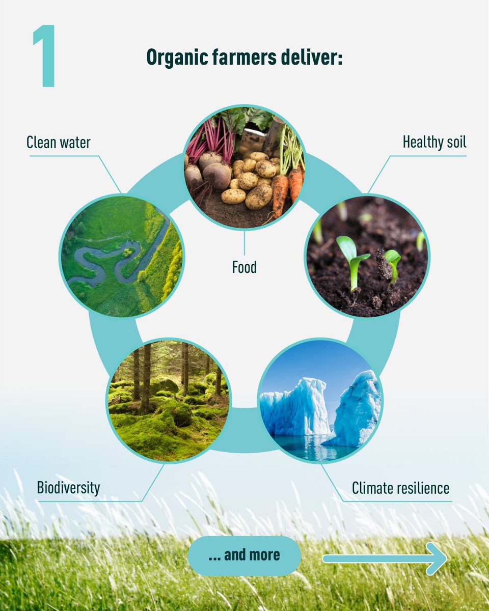 OrganicsEurope's tweet photo. Your food does more than you think. But who gets paid for that extra value?
Healthy soil. Clean water. Biodiversity. Climate resilience
Take a look how the CAP rewards all this and what can be improved.
#FairIncome #OrganicFarmersIncome #OrganicFarming #SustainableFuture @EUAgri https://t.co/KsBra1Fn6s