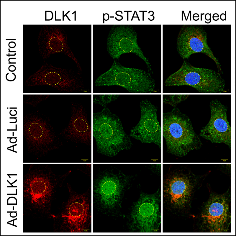 Pathological Society tweet media