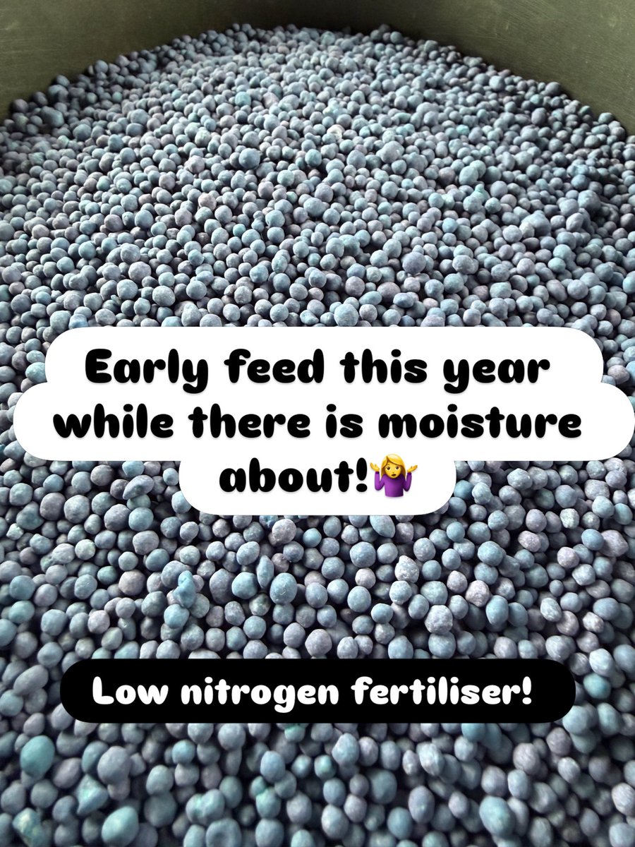 Seagate Nurseries tweet media