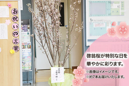 【秋田県小坂町のふるさと納税】
今週掲載開始の返礼品
少量セットが登場！
「啓翁桜」（約80cm×約7本）

まもなく門出のシーズン！
春の訪れを待つ小坂町の
気温が下がる気候を活かした桜で
特別な日を彩りませんか。

受付は各サイト
x.gd/BDIAj
#秋田県 #小坂町 #ふるさと納税 #啓翁桜