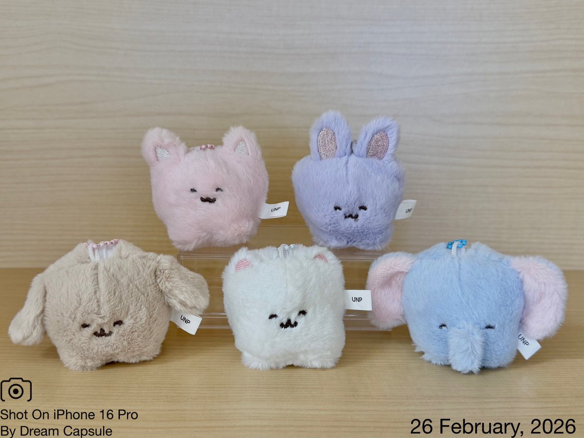 dreamcapsuleCEO's tweet photo. 🌟新入荷ガチャ商品プレゼントCP🌟

くるんと虫歯！😈ぞうは象牙！🐘
「ひっくりかえすと虫歯になるはにまるず」

フォロー&amp;RP(RT)していただいた方の中から抽選で2名様に全5種セットをプレゼント🎁
ドリカプへの入荷日とキャンペーン詳細は↓

#ドリームカプセル #ガチャ専門店 https://t.co/i7bFJi0uZD