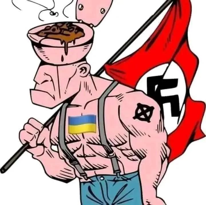 stefan vasilev tweet media