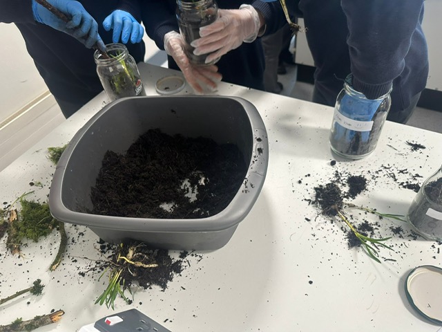 FP2 Science tweet media