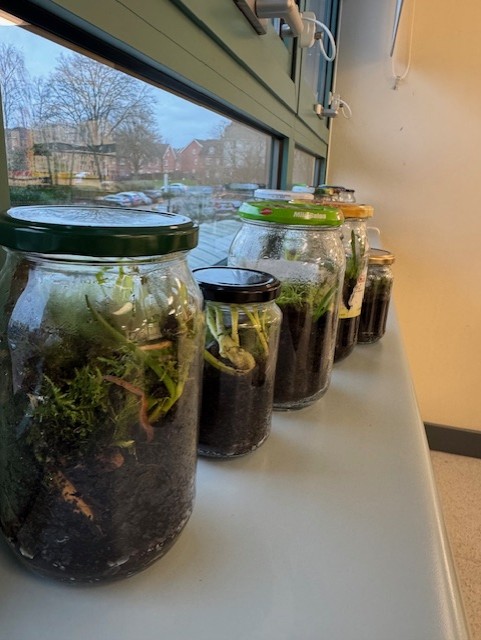 FP2 Science tweet media