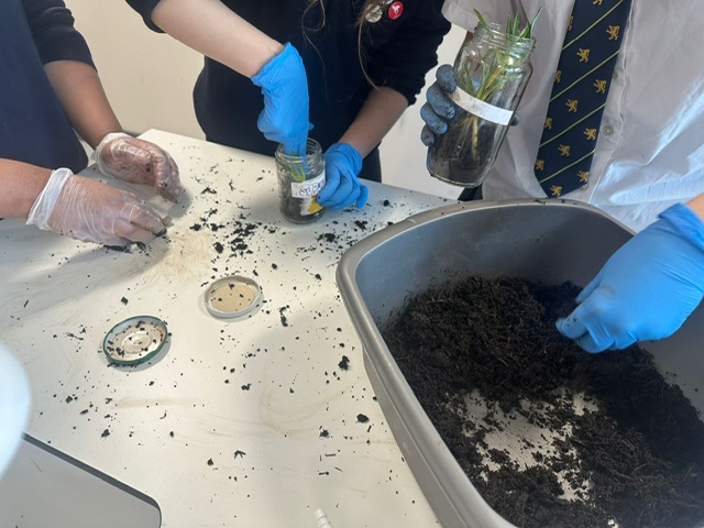 FP2 Science tweet media