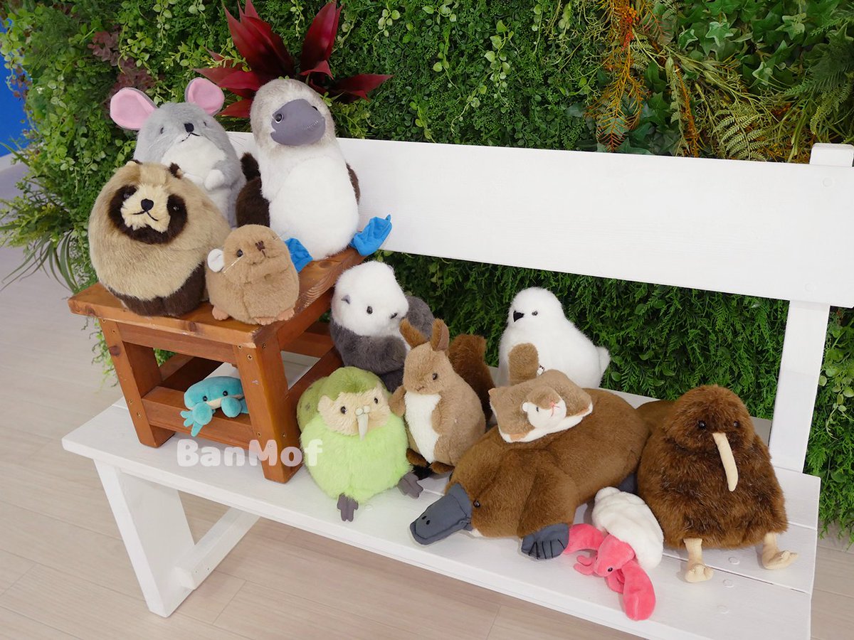 ばんばぱえりあ＠新著『ことりのぬいぐるみ』 (@banmof) / Posts / X