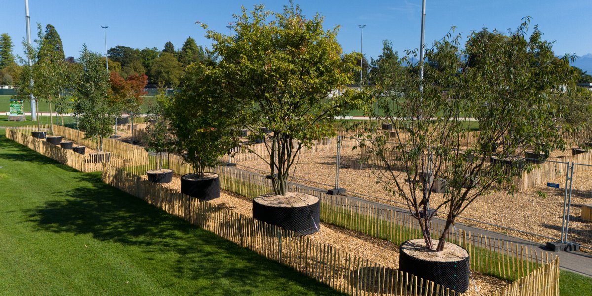 Ville de Morges tweet media