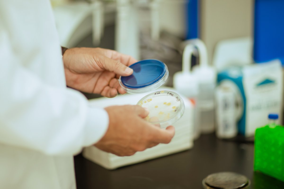 Alexandre Soares Rosado tweet media