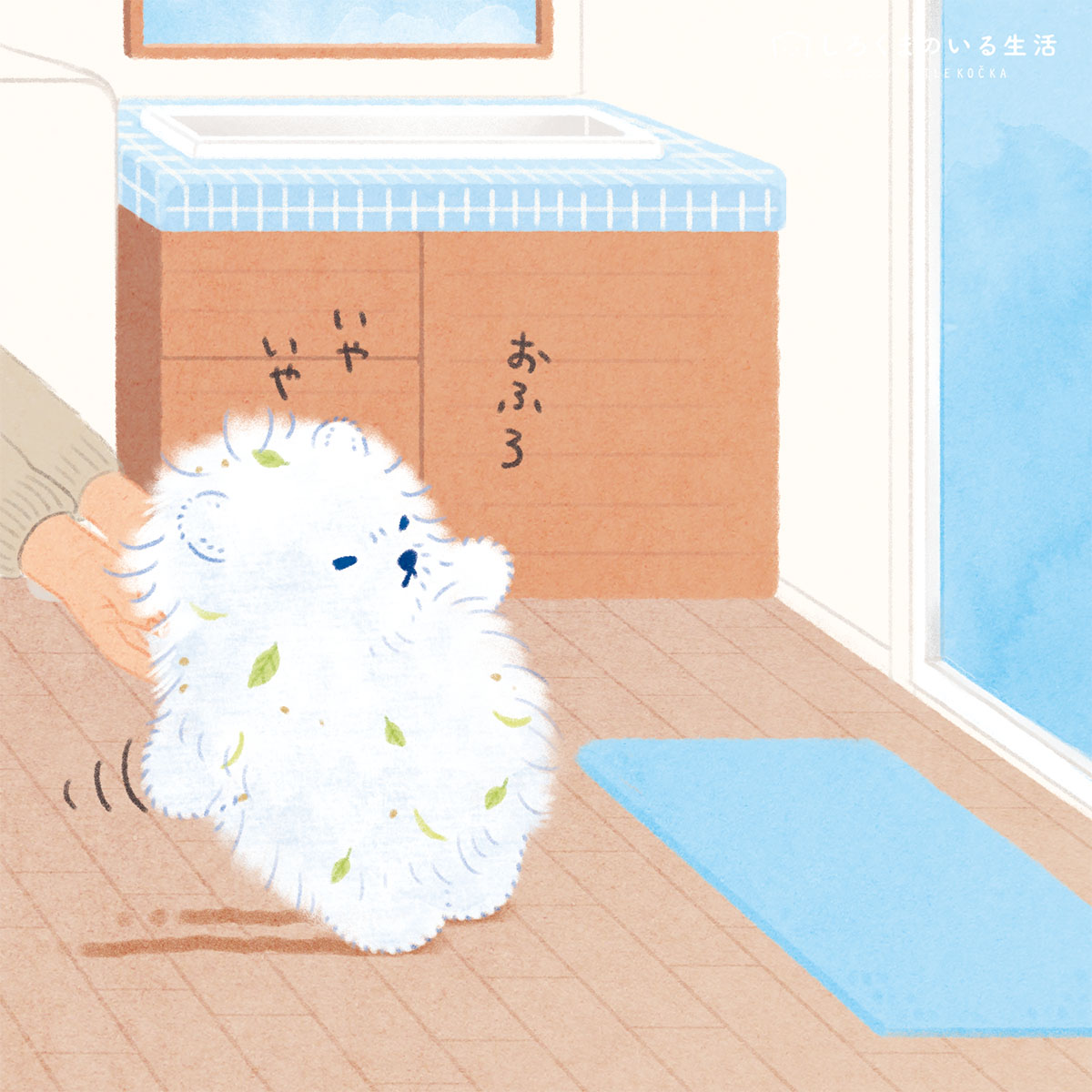 しろくまのいる生活🧸serico tweet media